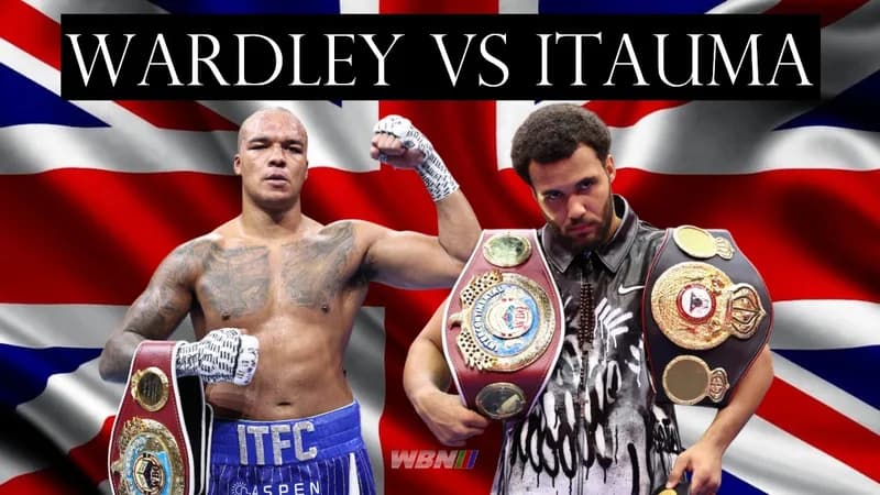 Titolo WBO Pesi Massimi Dopo Rinuncia Usyk